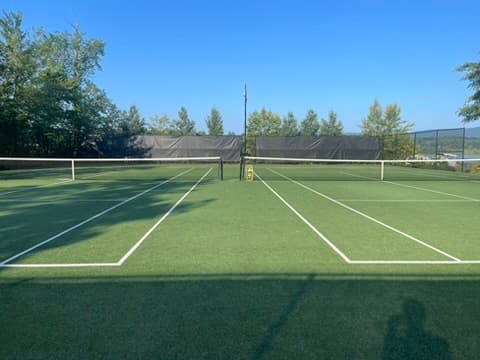Two side-by-side green courts at Twin Lakes Beach Club on a bright summer morning