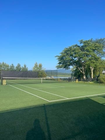 A green tennis court at Twin Lakes Beach Club under a clear sky, a big tree and the lake behind it